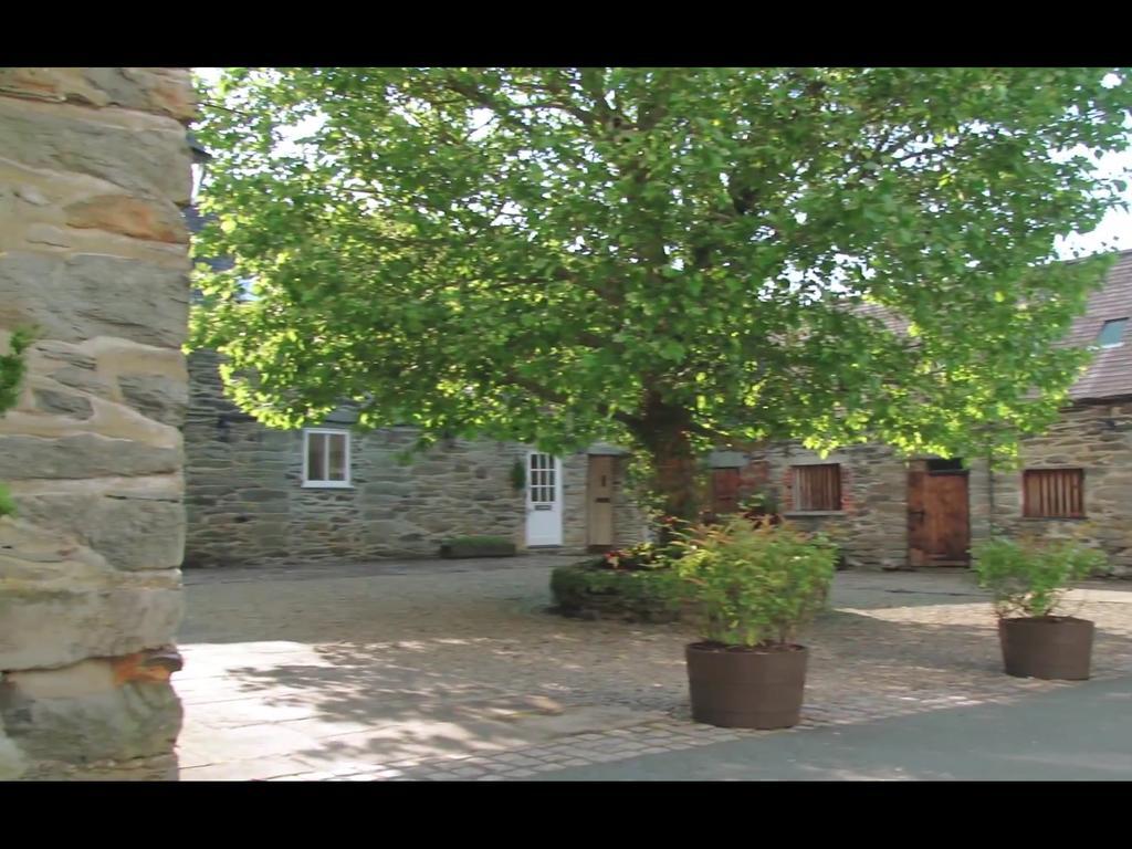 Bryn Melyn Farm Cottages Бэйла Экстерьер фото
